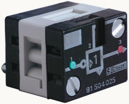 81504035