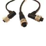 CCA-000-M02R206