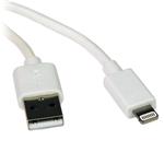 M100-006-WH