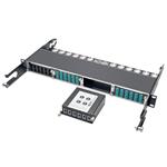 N484-2M24-6M12