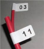 NC-381127-5-9