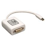 P137-06N-DVI