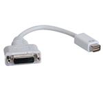 P138-000-DVI